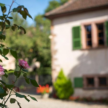 Gite **** Le Meyerhof Rorschwihr Экстерьер фото